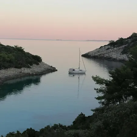 Daire Marta Zavalatica