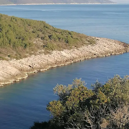 Daire Marta Zavalatica