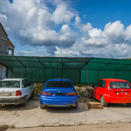 Marta 扎瓦拉提卡