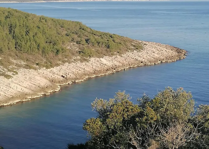 公寓 Marta 扎瓦拉提卡