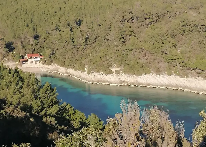 Marta * 扎瓦拉提卡