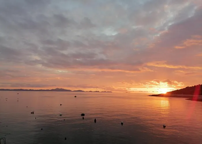 Marta 扎瓦拉提卡