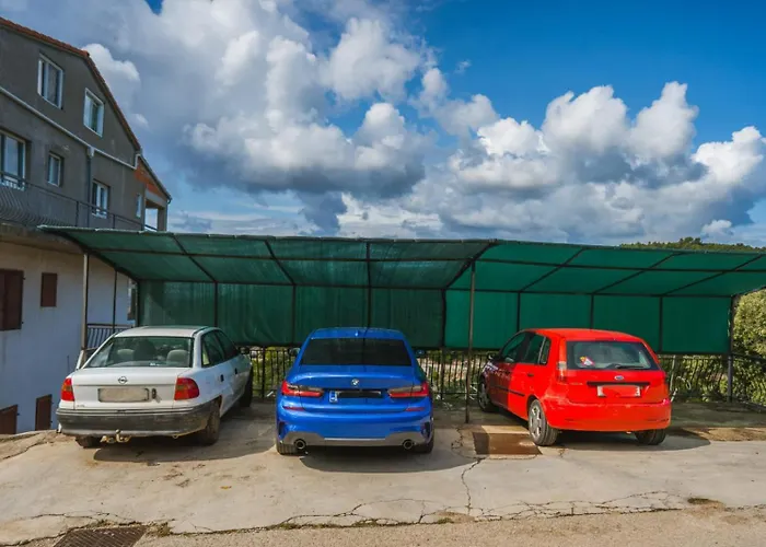 Marta 扎瓦拉提卡