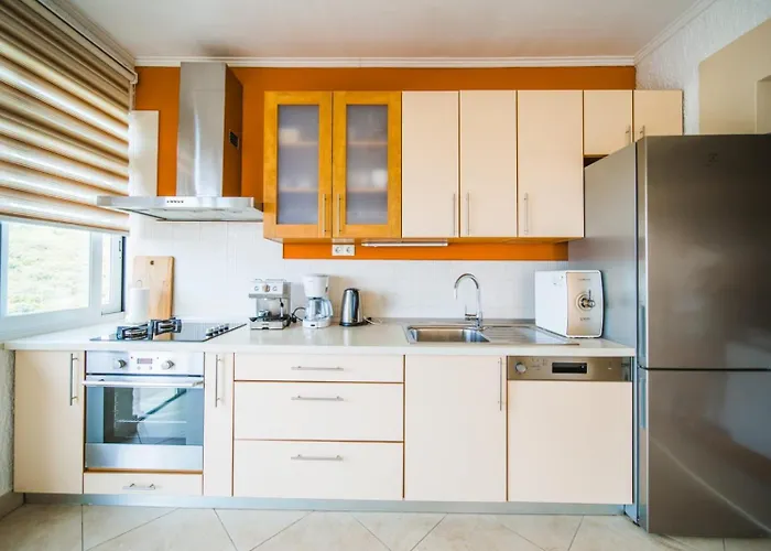 Marta 扎瓦拉提卡